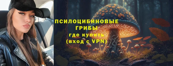 прущие крисы Балахна
