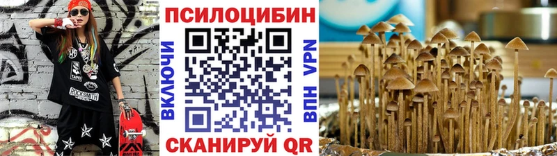 Галлюциногенные грибы MAGIC MUSHROOMS  ОМГ ОМГ tor  маркетплейс формула  Заполярный 